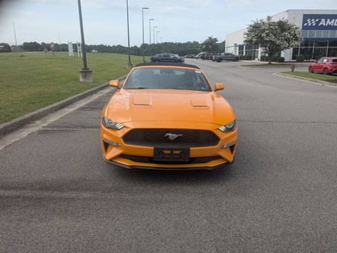 Used 2019 Ford Mustang Premium w/ Equipment Group 201A RWD image 8