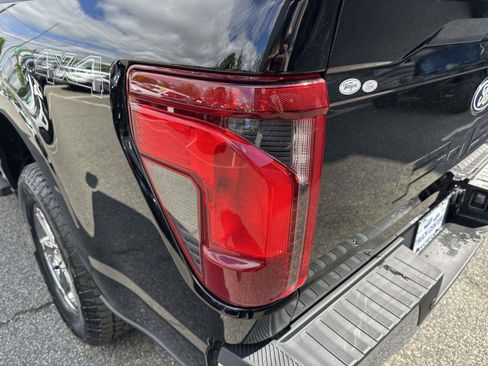 Used 2025 Ford F150 XLT w/ Equipment Group 301A Standard AWD/4WD image 10