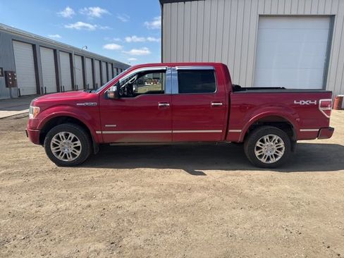 Used 2011 Ford F150 Platinum image 4