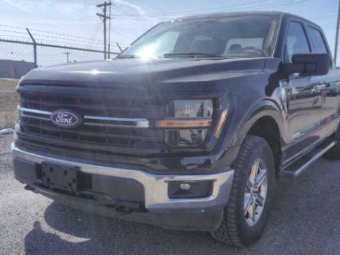 Used 2025 Ford F150 XLT w/ Equipment Group 301A Standard image 13