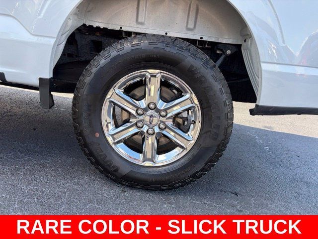 Used 2025 Ford F150 XLT w/ Equipment Group 301A Standard AWD/4WD image 10