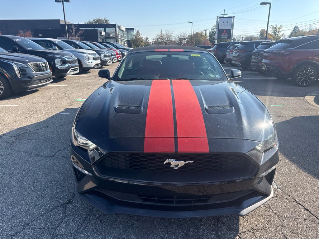 Used 2018 Ford Mustang Premium w/ Equipment Group 201A RWD image 2