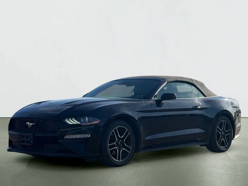 Used 2023 Ford Mustang Premium RWD image 2