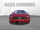 Used 2021 Ford Mustang Premium w/ Equipment Group 201A image 2