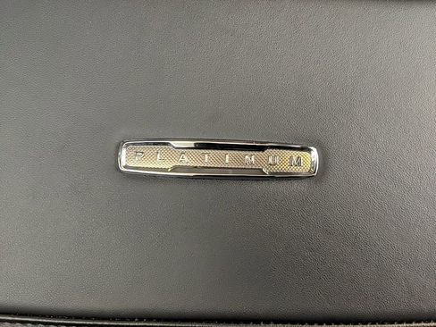 Used 2025 Ford Expedition Max Platinum image 14