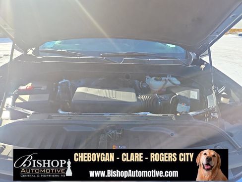 Used 2019 Chevrolet Silverado 1500 LT w/ All-Star Edition image 9