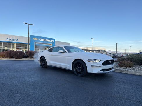 Used 2019 Ford Mustang Coupe w/ Ecoboost Performance Package image 3