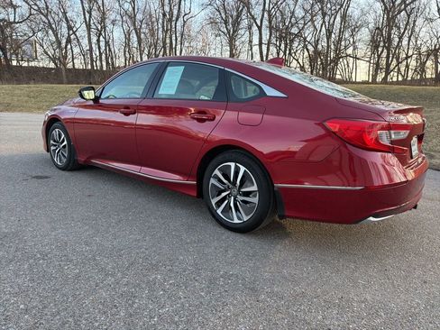 Used 2021 Honda Accord EX-L image 5
