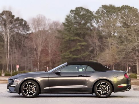 Used 2019 Ford Mustang Premium image 5