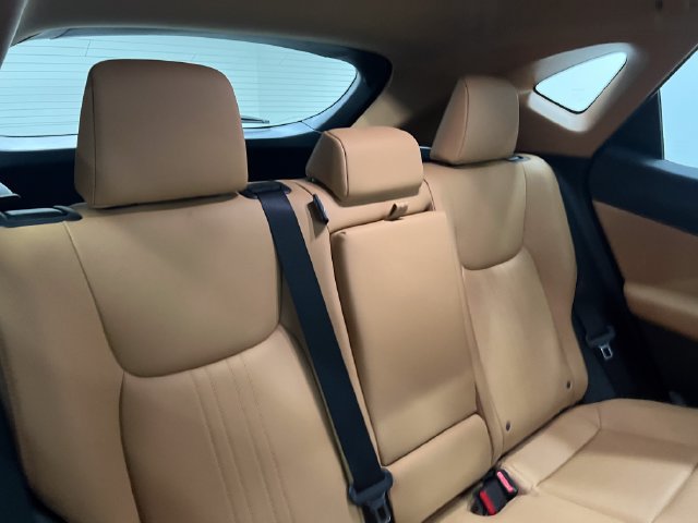 Certified 2025 Lexus NX 350h AWD w/ Cold Area Package image 13