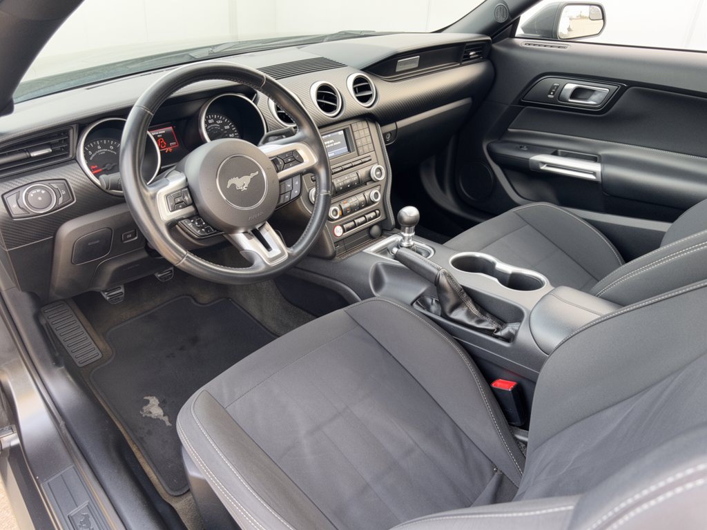 Used 2018 Ford Mustang Coupe w/ Wheel & Stripe Package RWD image 4
