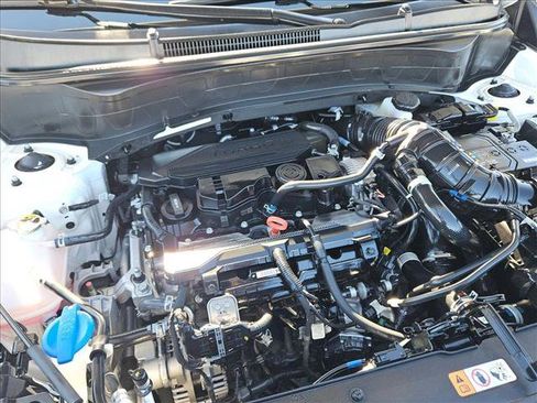 Used 2024 Kia Seltos SX w/ SX Sunroof Package image 23