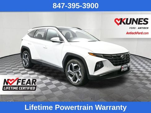 Used 2024 Hyundai Tucson Limited image 1
