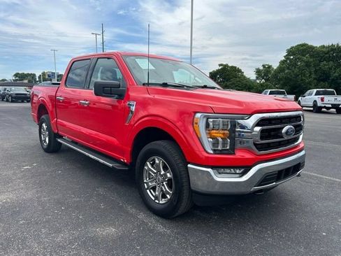 Used 2023 Ford F150 XLT w/ Equipment Group 302A High AWD/4WD image 3