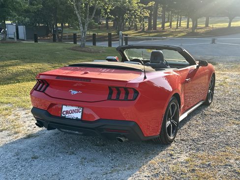 Used 2025 Ford Mustang Premium RWD image 5