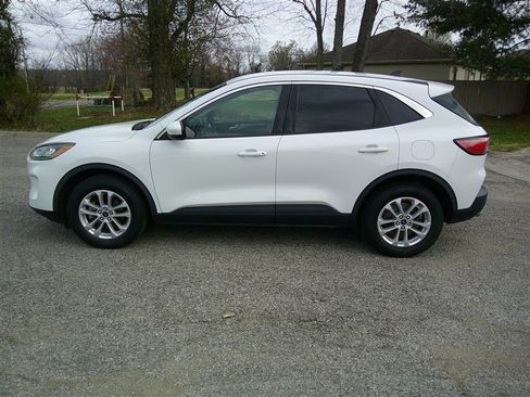 Used 2020 Ford Escape SE image 2