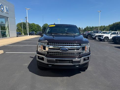 Used 2019 Ford F150 XLT w/ Equipment Group 302A Luxury AWD/4WD image 3