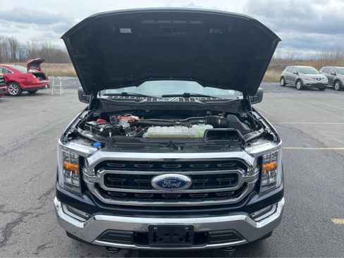 Used 2023 Ford F150 XLT w/ Equipment Group 302A High image 37