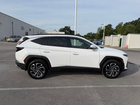 Used 2025 Hyundai Tucson Limited AWD/4WD image 4