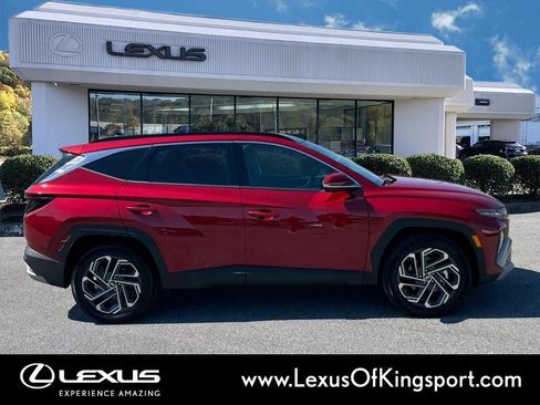 Used 2025 Hyundai Tucson Limited image 6