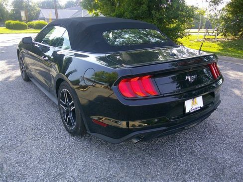Used 2023 Ford Mustang Premium RWD image 3