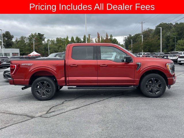 Used 2023 Ford F150 XLT w/ Equipment Group 302A High AWD/4WD image 6