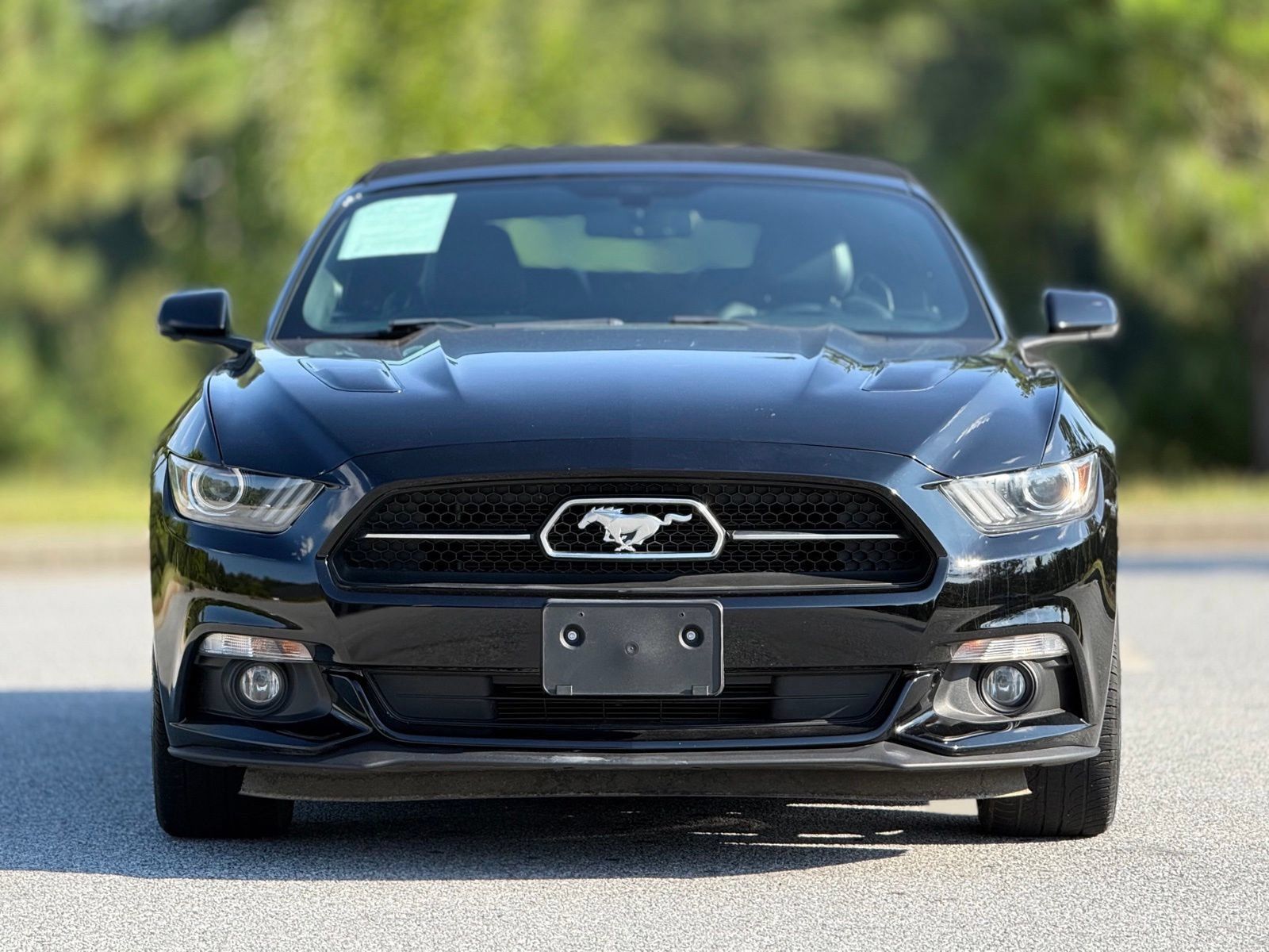 Used 2015 Ford Mustang GT Premium w/ Equipment Group 401A RWD image 3