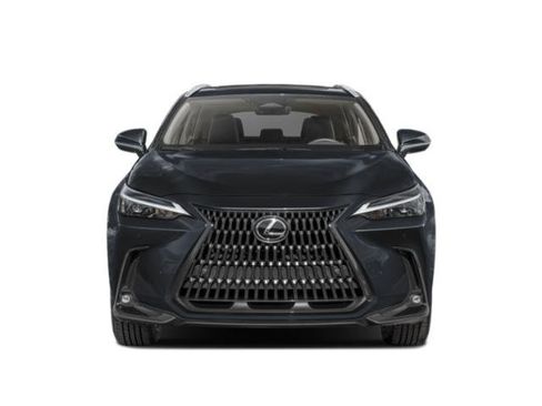 Used 2024 Lexus NX 350 AWD w/ Cold Area Package image 4