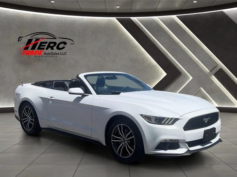 Used 2017 Ford Mustang Premium RWD image 1