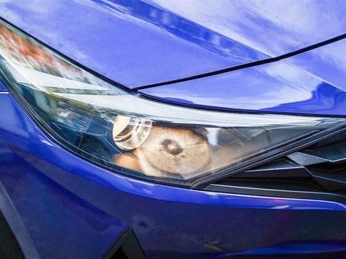 Certified 2023 Hyundai Elantra SEL image 3