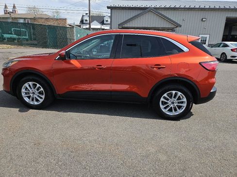 Used 2020 Ford Escape SE AWD/4WD image 6