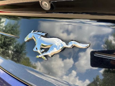 Used 2019 Ford Mustang Coupe RWD image 43