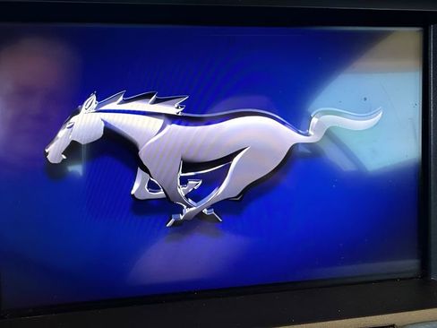 Used 2019 Ford Mustang GT Premium w/ Equipment Group 401A image 15