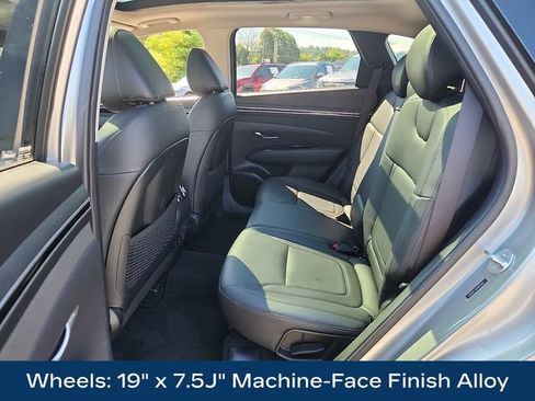 Used 2023 Hyundai Tucson Limited AWD/4WD image 13