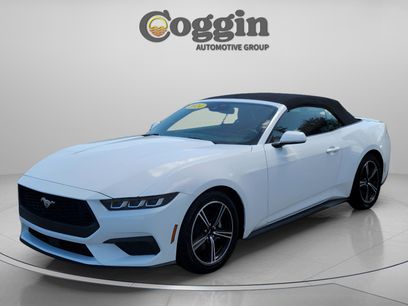 Used 2024 Ford Mustang Premium