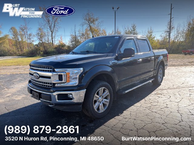 Used 2018 Ford F150 XLT w/ Equipment Group 302A Luxury AWD/4WD image 1