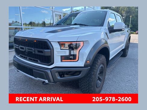 Used 2018 Ford F150 Raptor w/ Equipment Group 802A Luxury AWD/4WD image 1