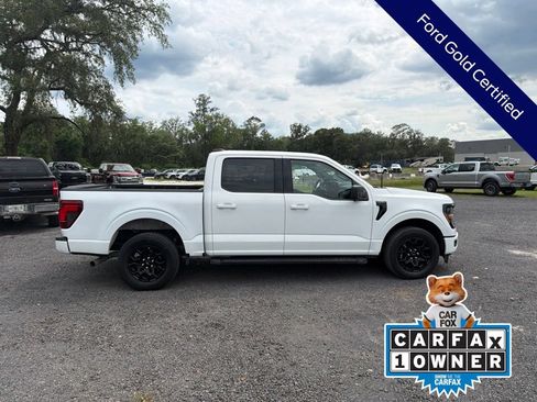 Used 2024 Ford F150 XLT w/ XLT Black Appearance Package RWD image 8