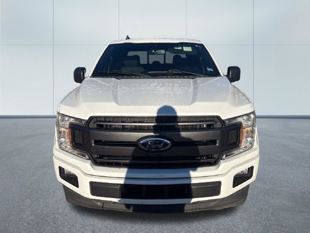 Used 2019 Ford F150 XLT w/ Equipment Group 302A Luxury RWD image 6