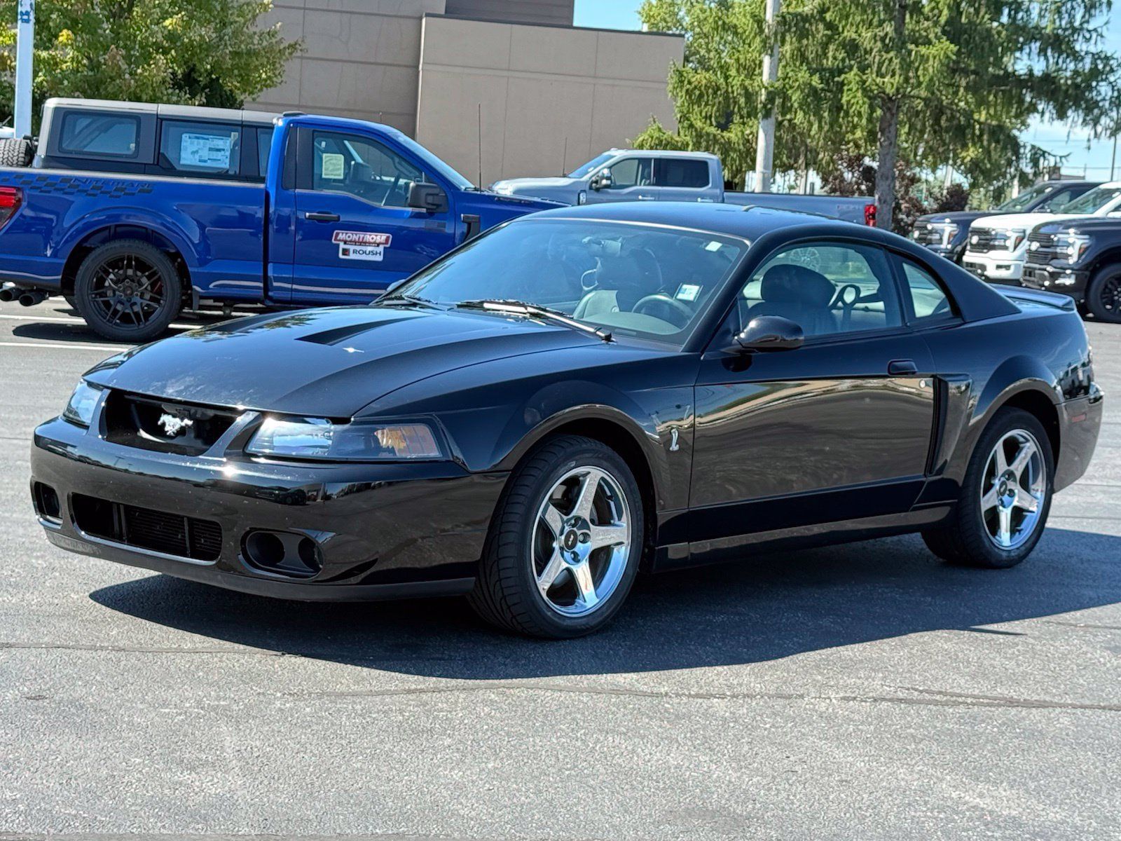 Used 2004 Ford Mustang Cobra RWD image 7
