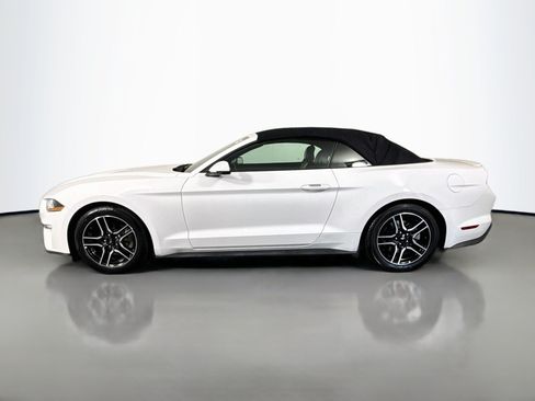 Used 2019 Ford Mustang Premium RWD image 6