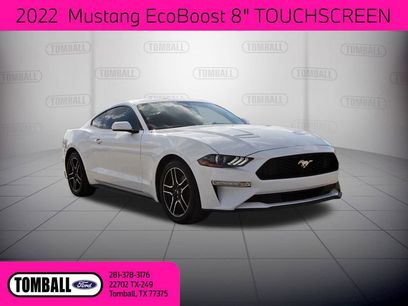 Used 2022 Ford Mustang EcoBoost w/ Equipment Group 101A