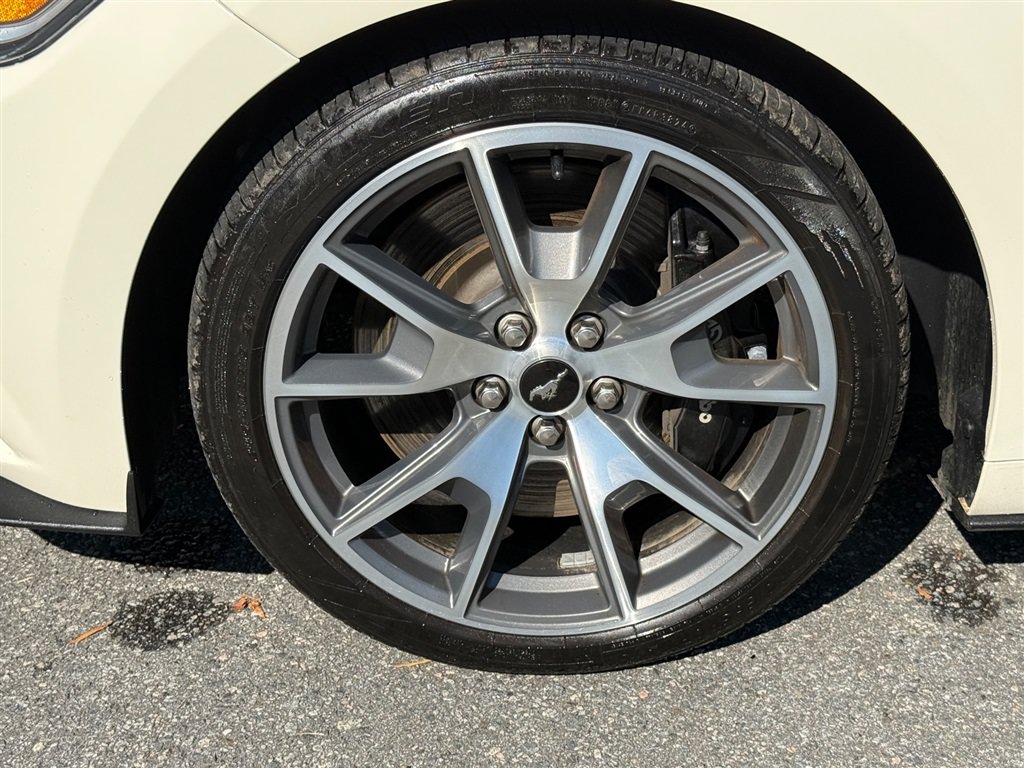 Used 2015 Ford Mustang 50 Years RWD image 17