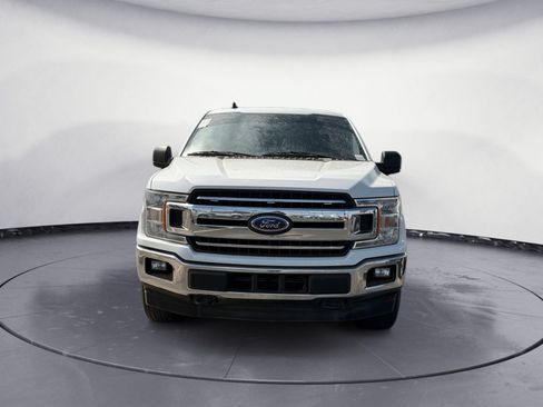 Used 2019 Ford F150 XLT w/ Equipment Group 301A Mid AWD/4WD image 7