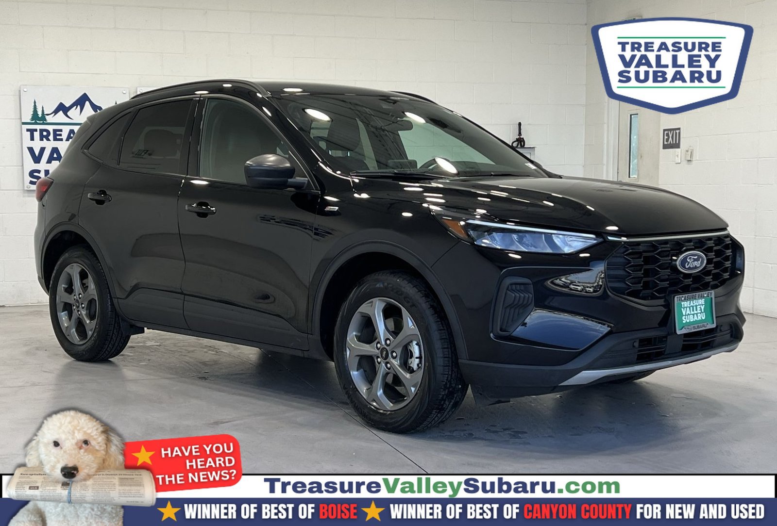 Used 2025 Ford Escape ST-Line AWD/4WD image 1