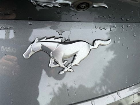Used 2024 Ford Mustang Premium image 16