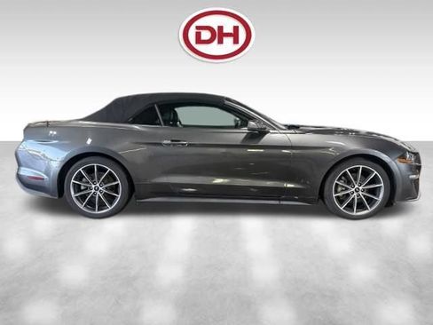 Used 2019 Ford Mustang Premium w/ Equipment Group 201A RWD image 2