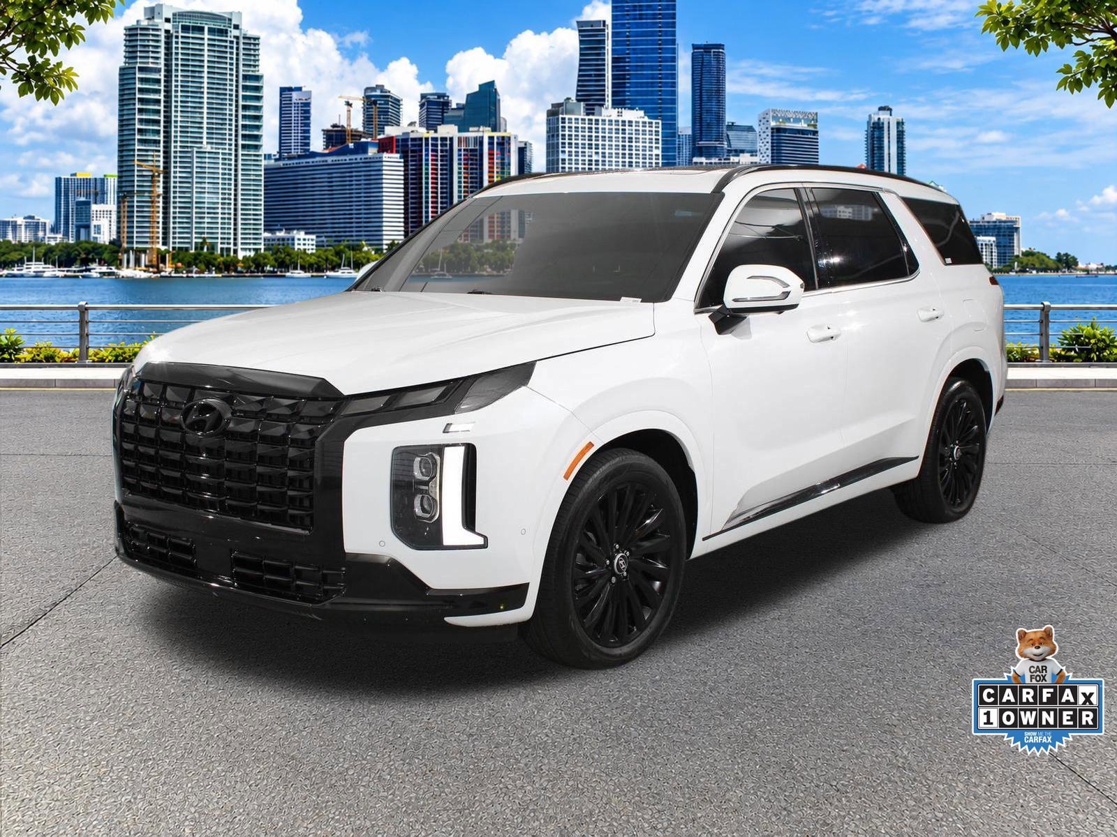 Used 2025 Hyundai Palisade Calligraphy AWD/4WD 360° Tour