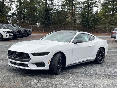New 2026 Ford Mustang Coupe w/ Mustang Nite Pony Package image 24