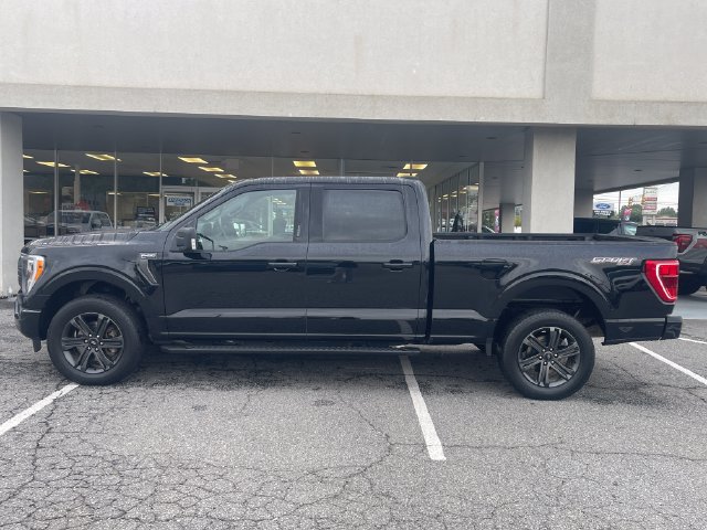 Used 2023 Ford F150 XLT w/ Equipment Group 302A High AWD/4WD image 8